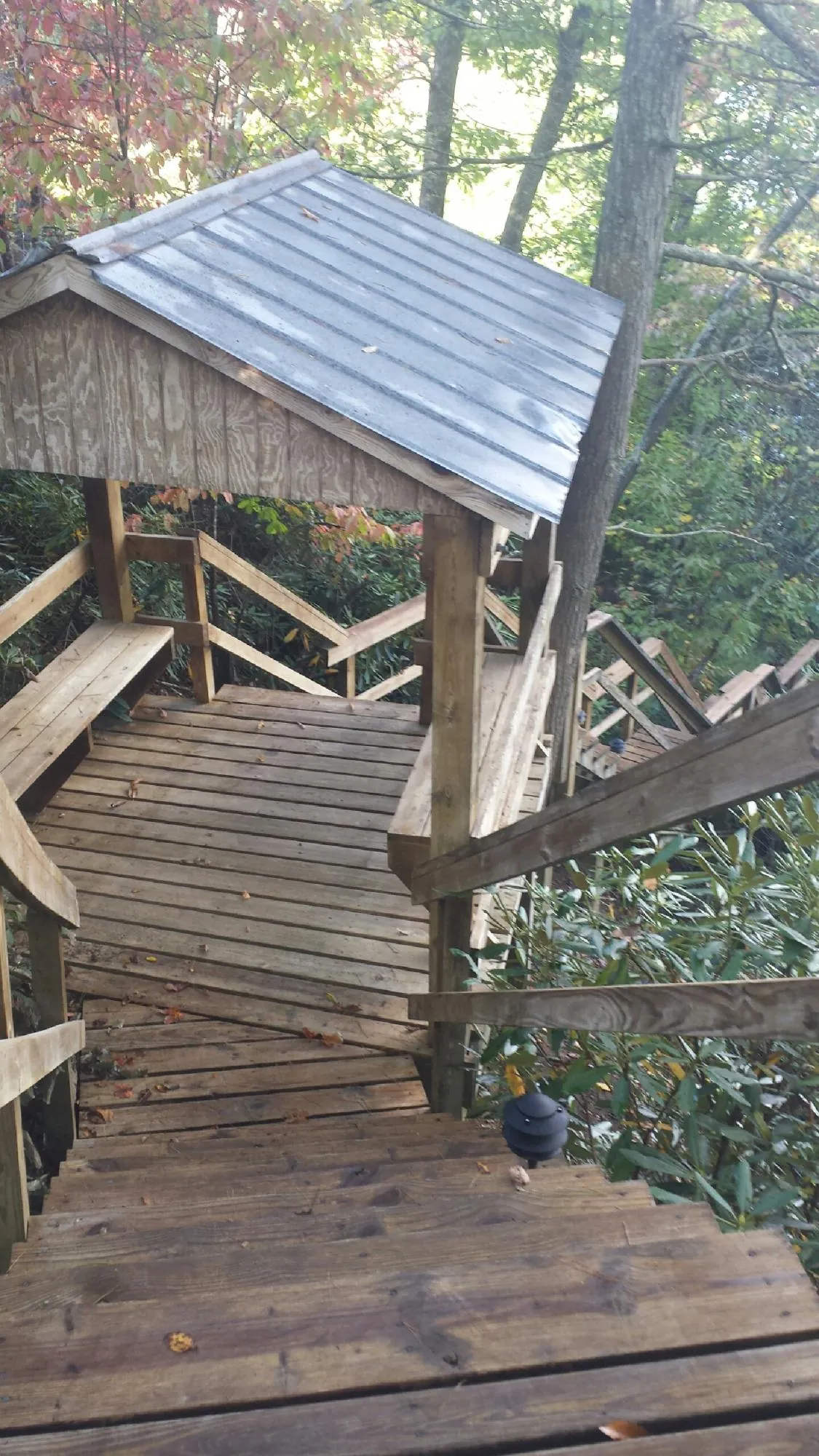 Metal roofed shelter over wooden steps on a wooded walkway in Maury City